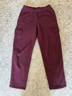 Aritzia Sweatfleece Cargo Sweatpants